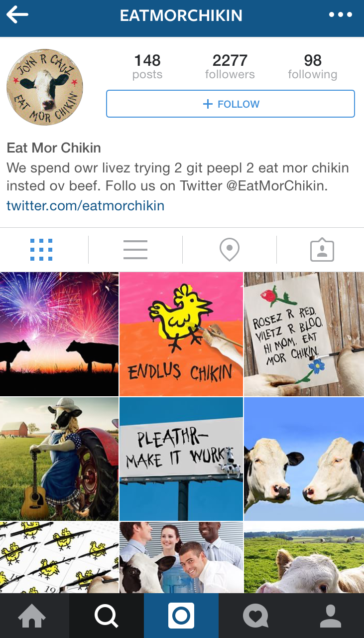 2013 – Cows join Instagram